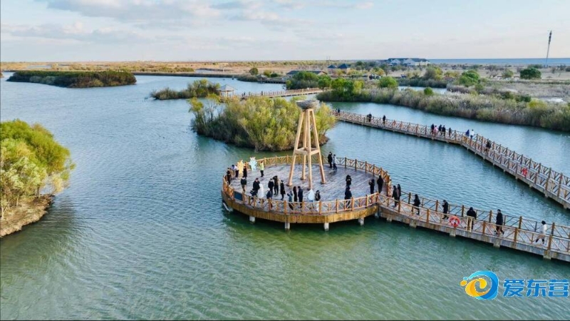 赛不仅为武 赛不仅为武