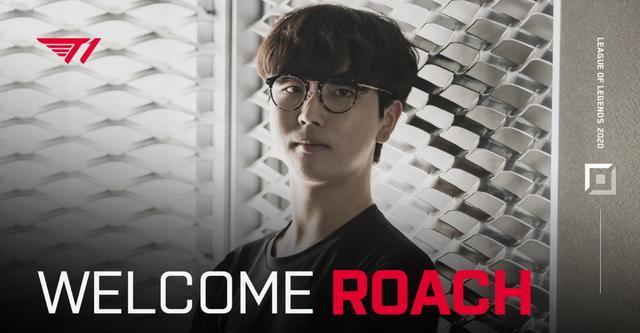 为了他整个 为了他整个